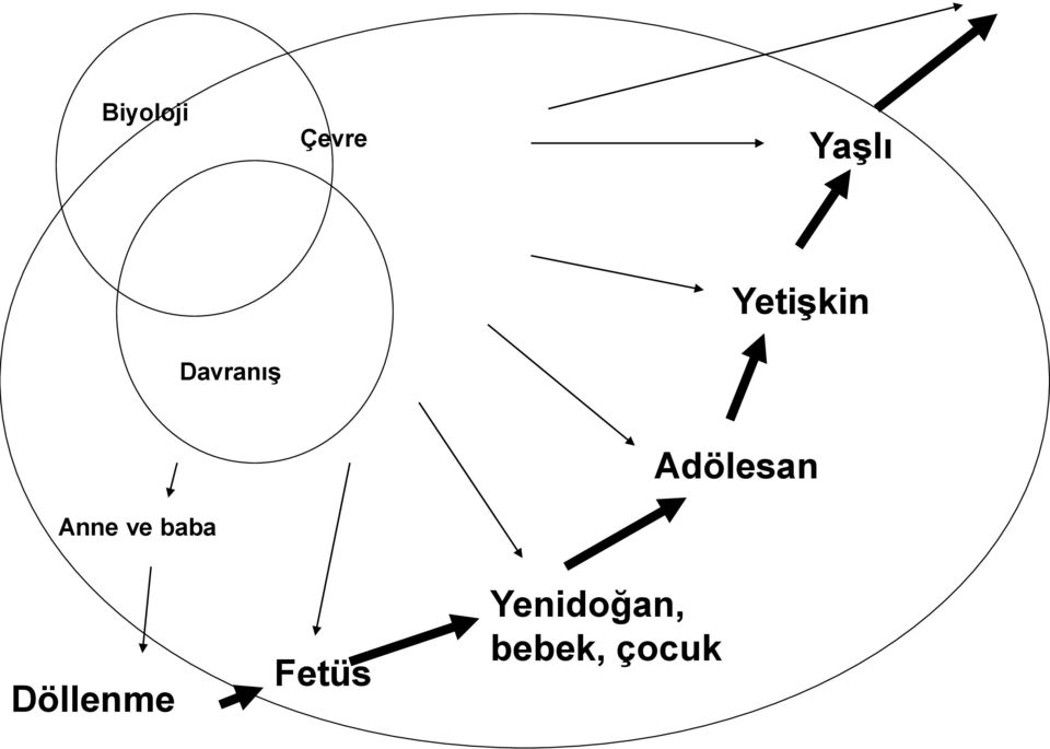 ve baba Adölesan