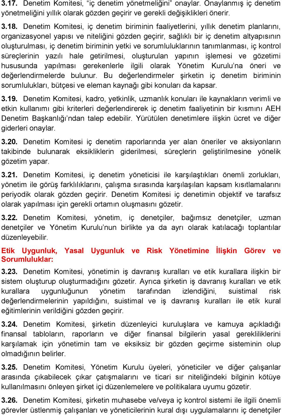 biriminin yetki ve sorumluluklarının tanımlanması, iç kontrol süreçlerinin yazılı hale getirilmesi, oluşturulan yapının işlemesi ve gözetimi hususunda yapılması gerekenlerle ilgili olarak Yönetim