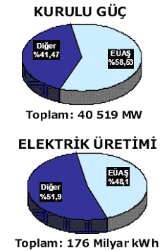 EÜAŞ 2006 yılı itibariyle; 23.716 MW kurulu gücü ile Türkiye kurulu gücünün %58,53 ini, 84,5 Milyar kwh üretimi ile Türkiye elektrik enerjisi üretiminin %48,1 ini karşılamaktadır.