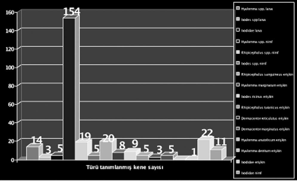 İnceboz ve ark. Çocuklarda Kene Yapışması Güncel Pediatri 2011; 9: 116-21 Hastalarda kene ısırmasına bağlı ateş, peteşi, kas ağrısı gibi sistemik bulgular saptanmamıştır.