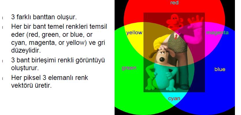 Renkli