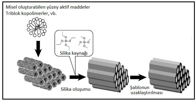 olarak görev almaktadırlar [18].