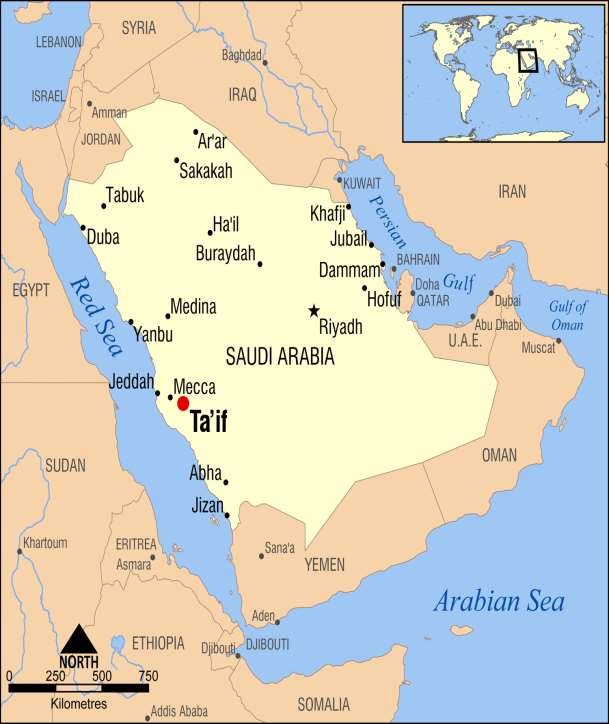 Taif: Mekke nin yaklaşık yüz yirmi kilometre