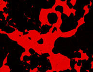Bir numuneye ait bir bölgenin Taramalı Elektron Mikroskop görüntüsü Aynı bölgenin Pb x-ışınları haritası: Siyah bölgede Pb yok. Kırmızı bölgede var.