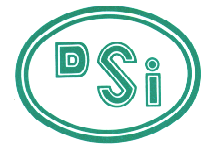 DSI SERVES IN FOUR SECTORS