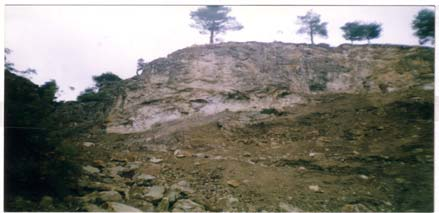 Manisa (Gördes) zeolitlerinin mineralojik, kimyasal ve teknolojik incelenmesi Jeoloji Çalışma alanının temelini Menderes masifi metamorfik kayaları oluşturmaktadır.