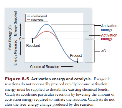 Spontan reaksiyonların oluşması için aktivasyon enerjisi gerekir.