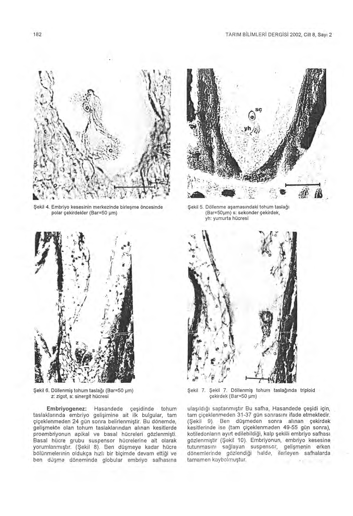 182 TARIM BILIMLERI DERGISI 2002, Cilt 8, Say ı 2 Ş ekil 4. Embriyo kesesinin merkezinde birle ş me öncesinde polar çekirdekler (Bar=50 pm) Ş ekil 5.