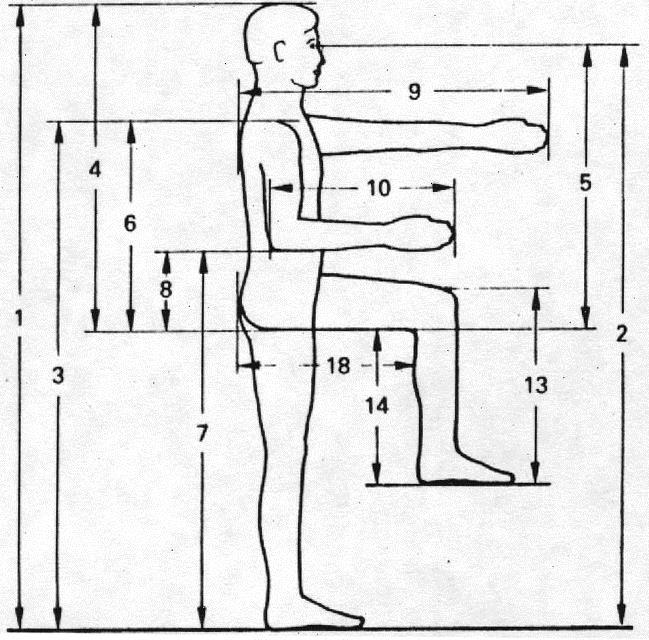 3. Antropometri ve Çalışma Ortamı Tasarımı 3.1. Antropometri, Antropometri, insan vücudunun uzunluk, genişlik, yükseklik, ağırlık, ve çevre boyutları ile ilgilenen bir bilim dalıdır.