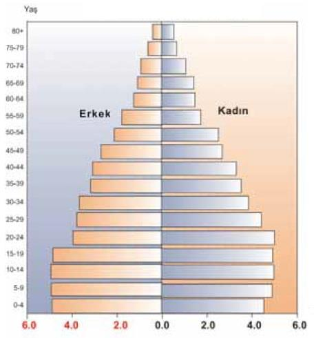 65 yaşından büyüklerin oranı çok düşüktür. Yaşlı nüfus oranının düşük olması, ortalama yaşam süresinin kısa oluşundandır. Bu da refah düzeyinin gelişmiş ülkelere göre geri olduğunu gösterir.