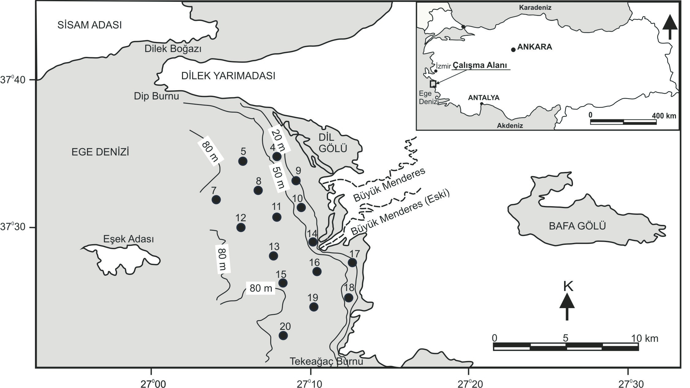 128 Yerbilimleri GİRİŞ Bu çalışmanın amacı, Büyük Menderes Nehri önü kıta sahanlığında bulunan güncel bentik foraminifer topluluklarının tanımlarını yapmak, cins ve türlerin istasyonlara göre