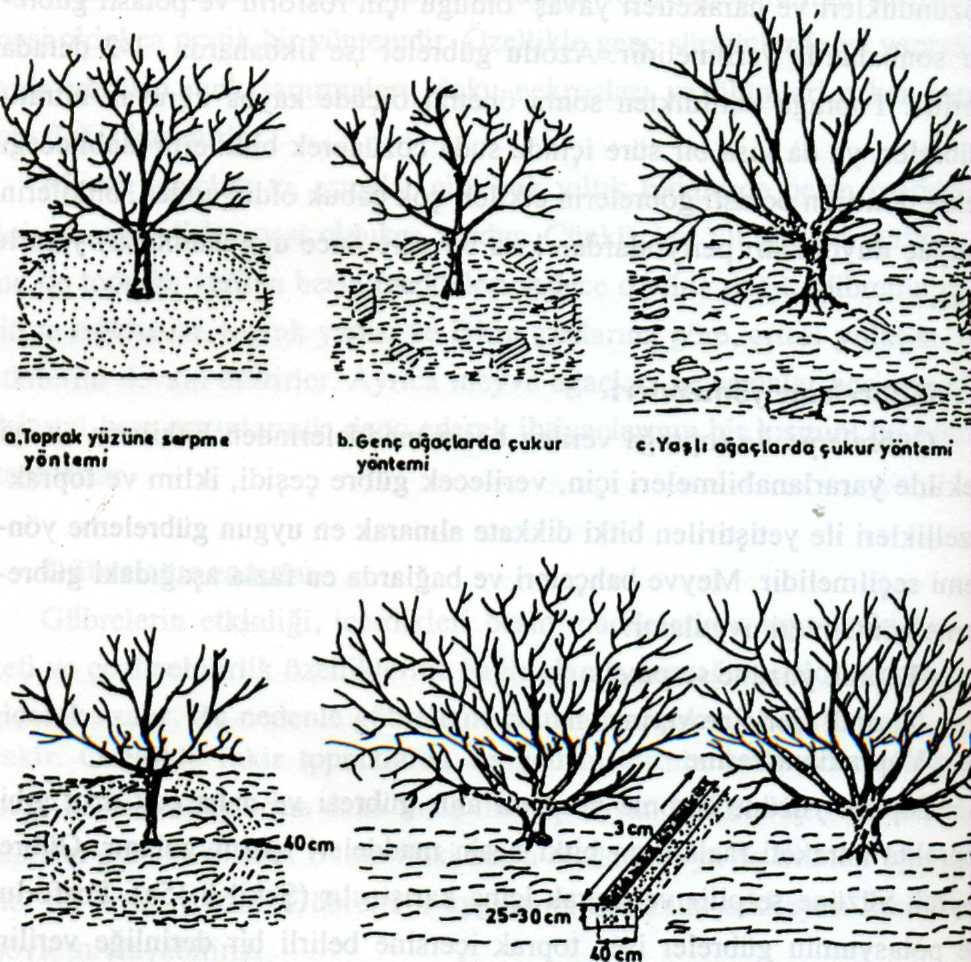 d.öd.genç ağaçlarda halka hendek yöntemi e.yaşlı ağaçlarda hendek yöntemi Şekil 1.