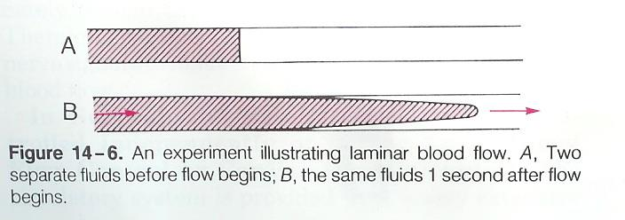 Laminar kan akımı Kanın uzun düz bir damardan sabit bir hızda akışına laminar yada düzgün akım denir. Laminar akımda damar içindeki kan yerini korur.
