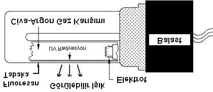 KFL lerin çalışmasında balast önemli bir elemandır. Balast, elektrotlar arasında deşarj oluşması için gerekli yüksek gerilimi sağlar ve lambanın nominal çalışması için gerekli akımı sınırlar.