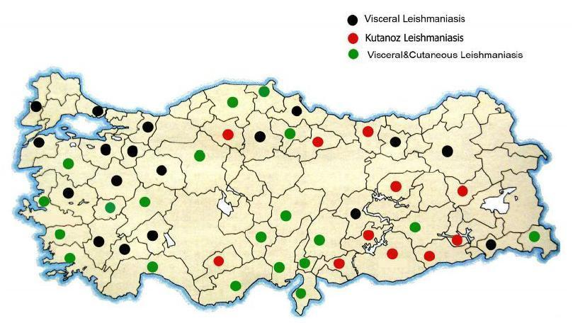 Osmaniye, Adana, Hatay, Kahramanmaraş ve Mersin illerinden çok sayıda olgu bildirilmektedir [12]. Şekil 2.