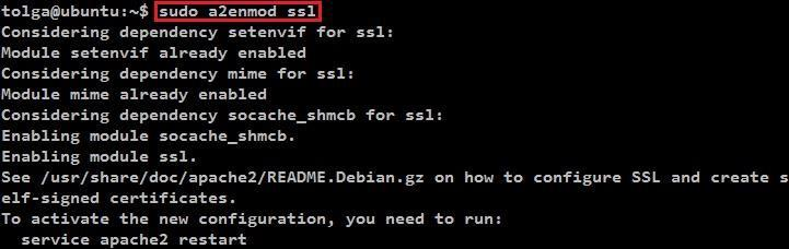 Ardından "sudo apt-get install apache2" komutu ile Apache2 sunucusunu yüklüyoruz. Yüklü ise güncelliyoruz. Aslında SSL desteği Ubuntu 14.04, 15.04, 16.04 Apache paketinde standart olarak gelir.