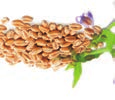 Organik, besleyici, iyi tolerans Priorin Liquid, Baicapil kompleksini içerir. İçeriğindeki organik bu kompleks, baykal takke kökü özlerinden ve soya ve buğday özlerinden oluşur.