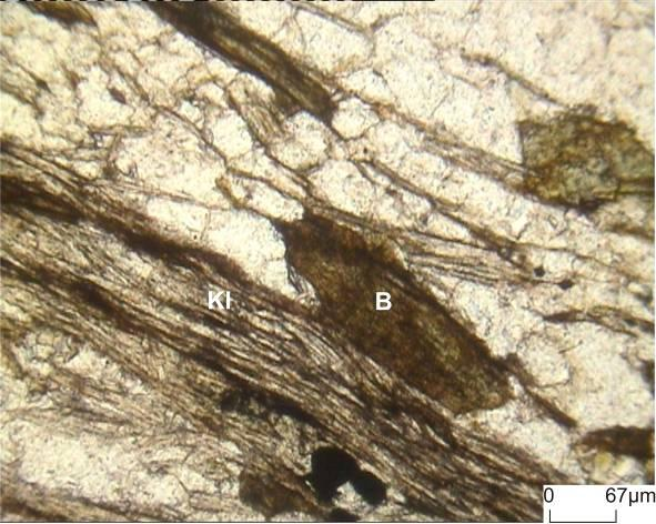(a) Şekil 6. Meydan Formasyonuna ait kuvarsitlerin ve nadir olarak görülen albit (Al) kristalini gösteren mikroskop görüntüsü a) Çift nikol görüntüsü b) Tek nikol görüntüsü (Figure 6.