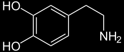 Dopamin Sentezi L-fenilalanin L-tirozin L-Dopa Dopamin Fenilalanin hidroksilaz Tirozin hidroksilaz Aromatik L- aminoasit dekarboksilaz Şekil 2.