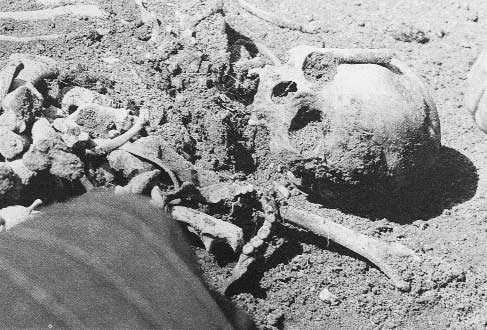 Van õn Zeve köyündeki toplu mezar kazõsõnda ortaya çõkarõlan kafatasõ ve insan kemikleri.