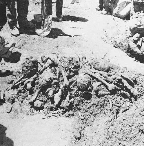 Van õn Erciş İlçesi, Çavuşoğlu Samanlõğõnda yapõlan toplu mezar kazõsõnda ortaya çõkarõlan Türkler e ait kafataslarõ ve kemikler.