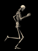 Kısa Kemikler: Omurga ile el ve ayak bileklerinde bulunan kemikler bu grubu oluşturur.