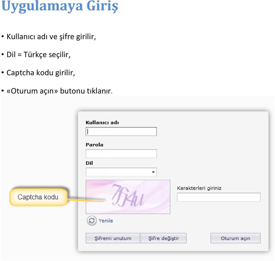 seçilir, Captcha kodu girilir,