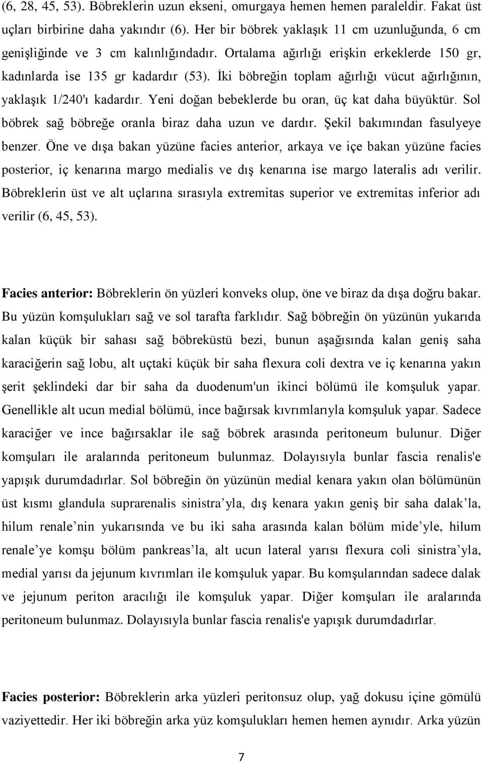 Ġki böbreğin toplam ağırlığı vücut ağırlığının, yaklaģık 1/240'ı kadardır. Yeni doğan bebeklerde bu oran, üç kat daha büyüktür. Sol böbrek sağ böbreğe oranla biraz daha uzun ve dardır.