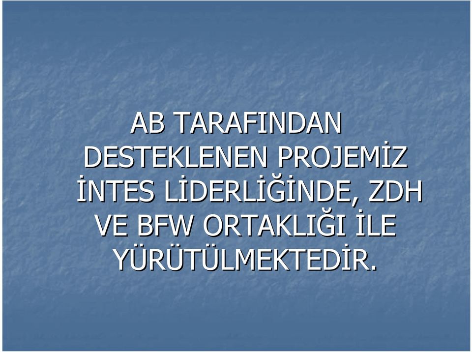 DERLİĞİNDE, ZDH VE BFW