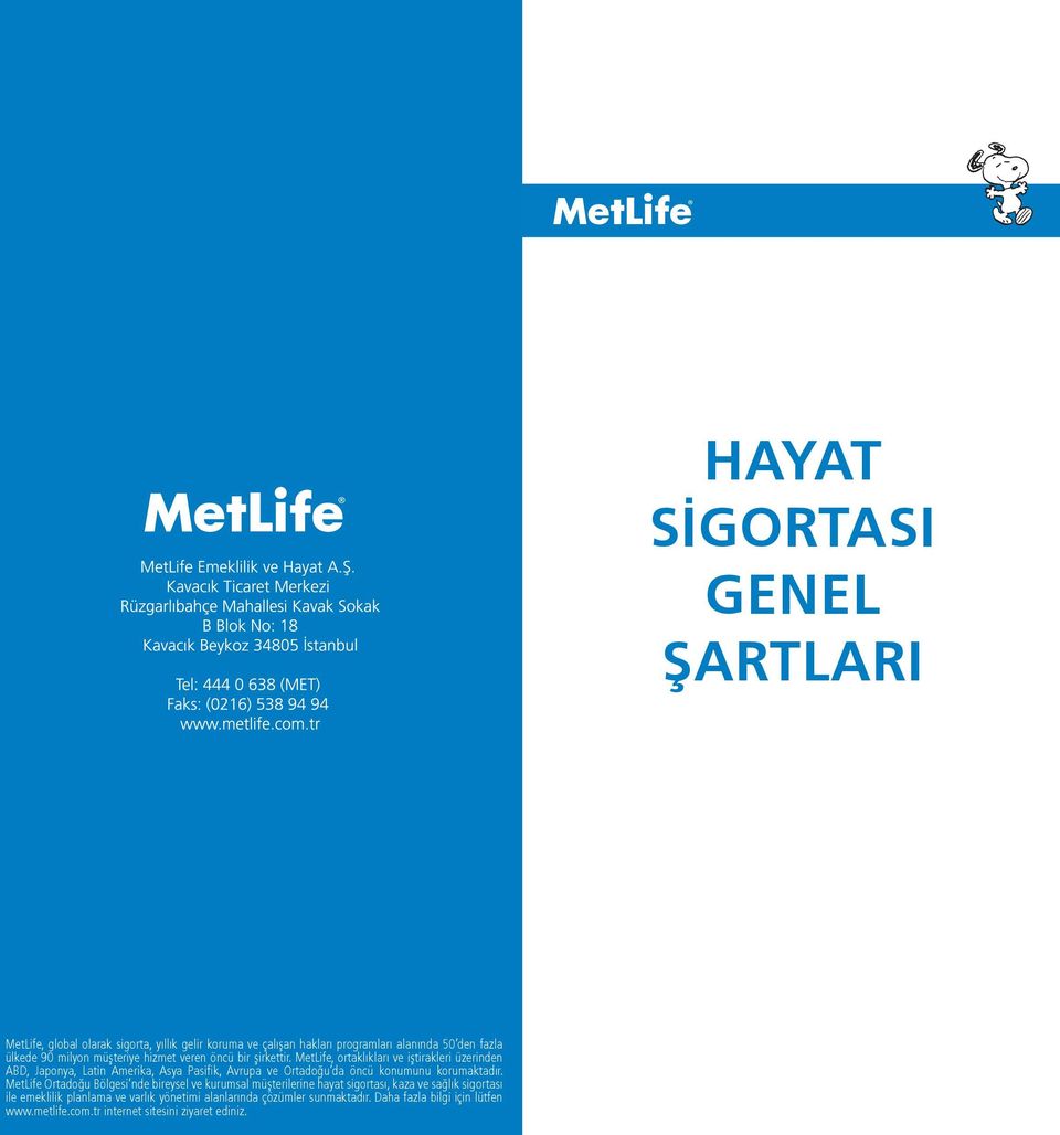 MetLife, ortaklıkları ve iştirakleri üzerinden ABD, Japonya, Latin Amerika, Asya Pasifik, Avrupa ve Ortadoğu da öncü konumunu korumaktadır.
