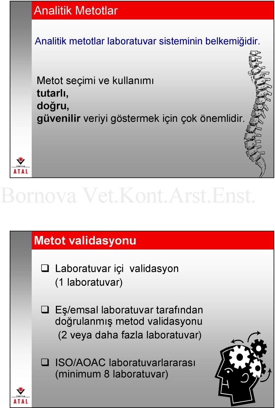 Metot validasyonu Laboratuvar içi validasyon (1 laboratuvar) Eş/emsal laboratuvar tarafından