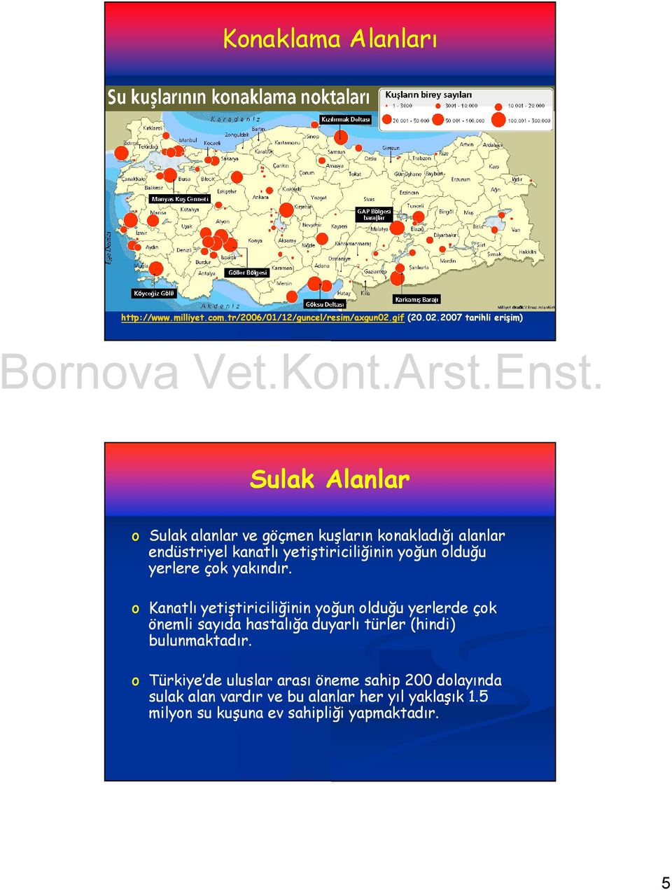 2007 tarihli erişim) erişim) Sulak Alanlar o Sulak alanlar ve göçmen kuşların konakladığı alanlar endüstriyel kanatlı