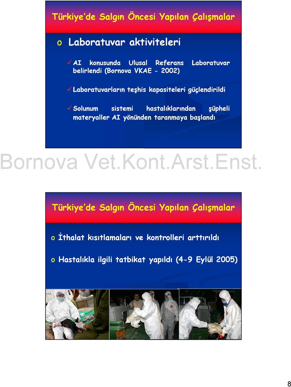 sistemi hastalıklarından şüpheli materyaller AI yönünden taranmaya başlandı Türkiye de Salgın Öncesi Yapılan