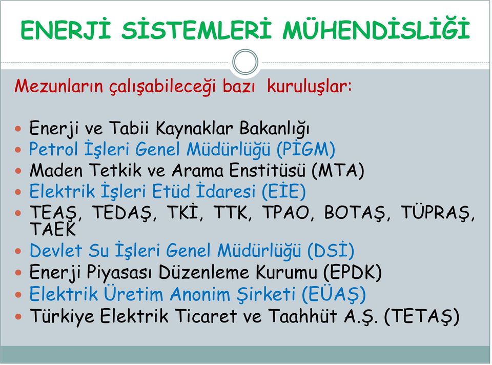 TEDAŞ, TKİ, TTK, TPAO, BOTAŞ, TÜPRAŞ, TAEK Devlet Su İşleri Genel Müdürlüğü (DSİ) Enerji Piyasası