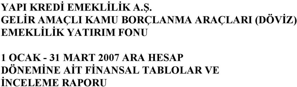 - 31 MART 2007 ARA HESAP DÖNEMNE AT