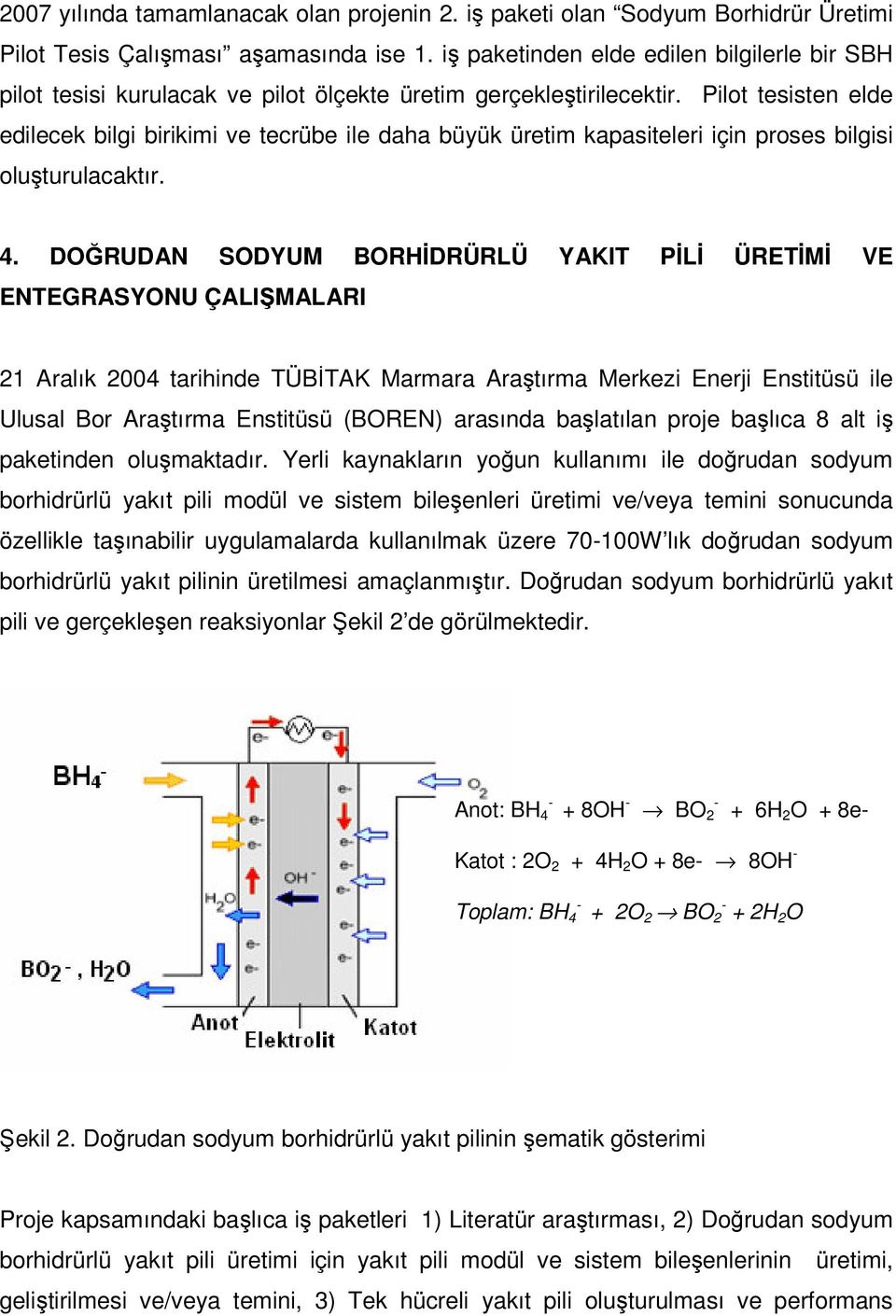 Pilot tesisten elde edilecek bilgi birikimi ve tecrübe ile daha büyük üretim kapasiteleri için proses bilgisi oluşturulacaktır. 4.