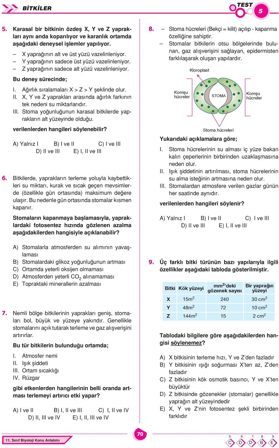 X, ve Z yapraklar aras nda a rl k fark n n tek nedeni su miktarlar d r. III. Stoma yo unlu unun karasal bitkilerde yapraklar n alt yüzeyinde oldu u. verilenlerden hangileri söylenebilir?