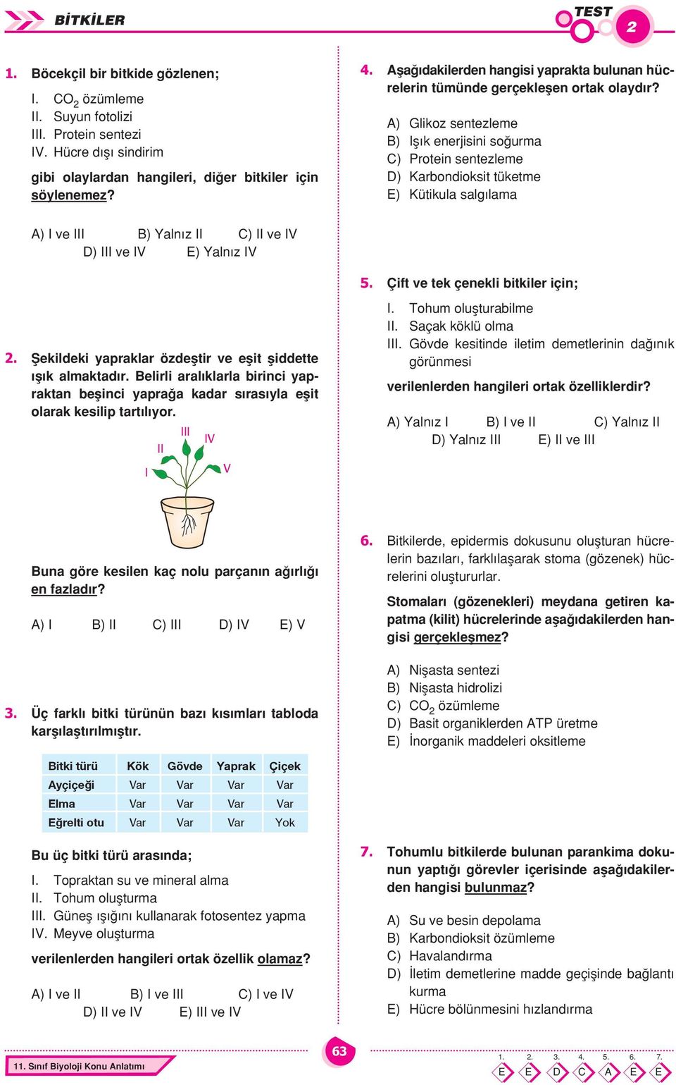 A) Glikoz sentezleme B) Ifl k enerjisini so urma C) Protein sentezleme D) Karbondioksit tüketme E) Kütikula salg lama A) I ve III B) aln z II C) II ve IV D) III ve IV E) aln z IV 5.