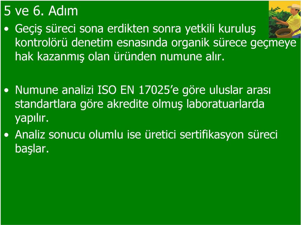 esnasında organik sürece geçmeye hak kazanmış olan üründen numune alır.