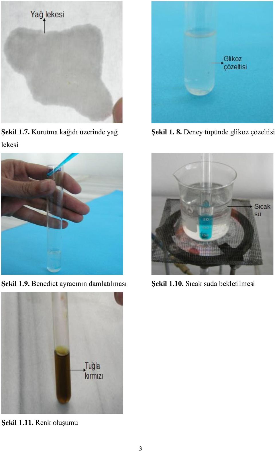 Deney tüpünde glikoz çözeltisi ġekil 1.9.