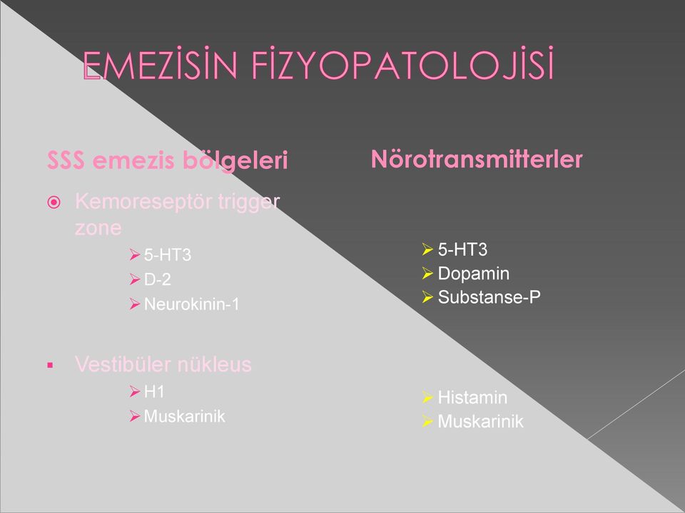 Neurokinin-1 5-HT3 Dopamin Substanse-P