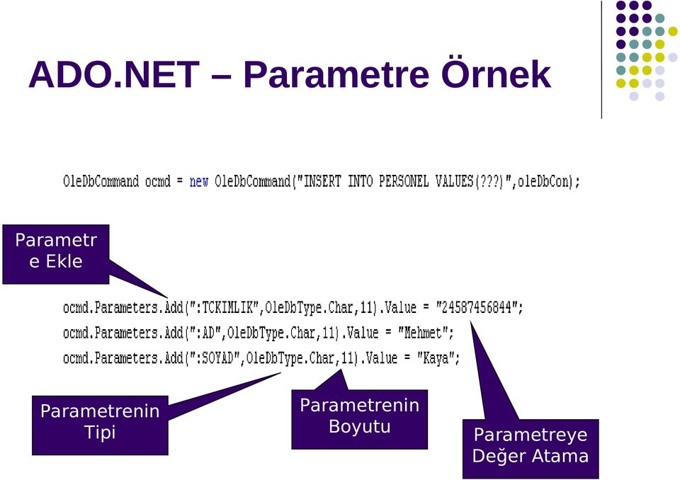 Parametrenin Tipi