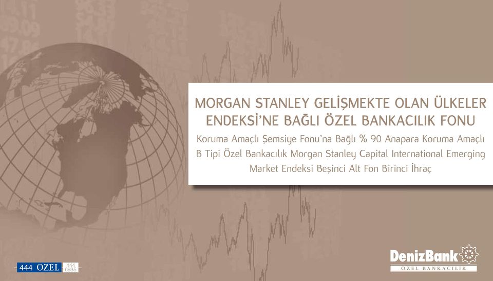 Koruma Amaçlı B Tipi Özel Bankacılık Morgan Stanley Capital
