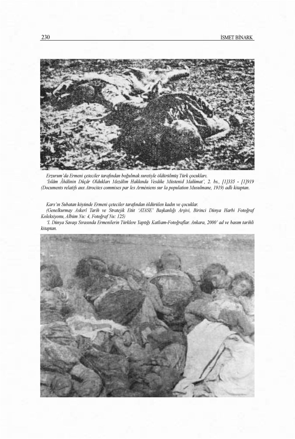 , [1]335 - [1]919 (Documents relatifs aux Atrocites commises par les Arméniens sur la population Musulmane, 1919) adlõ kitaptan.