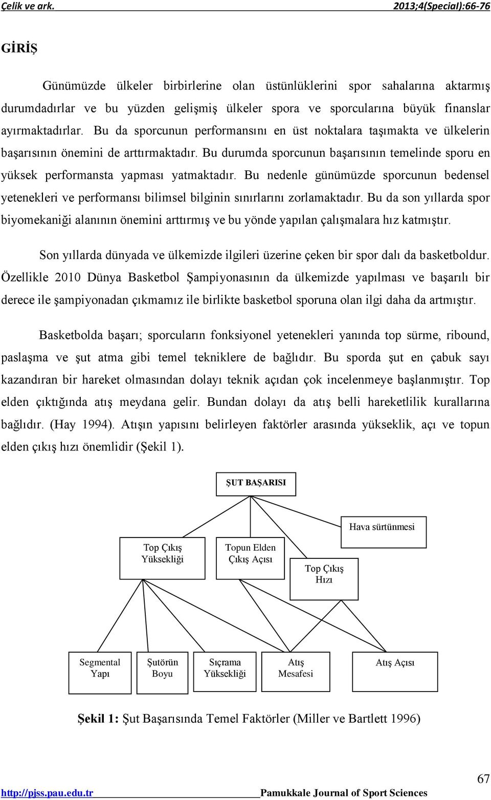 Bu durumda sporcunun başarısının temelinde sporu en yüksek performansta yapması yatmaktadır.