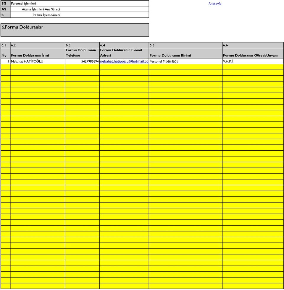 E-mail Adresi Formu Dolduranın Birimi Formu Dolduranın Görevi/Unvanı 1