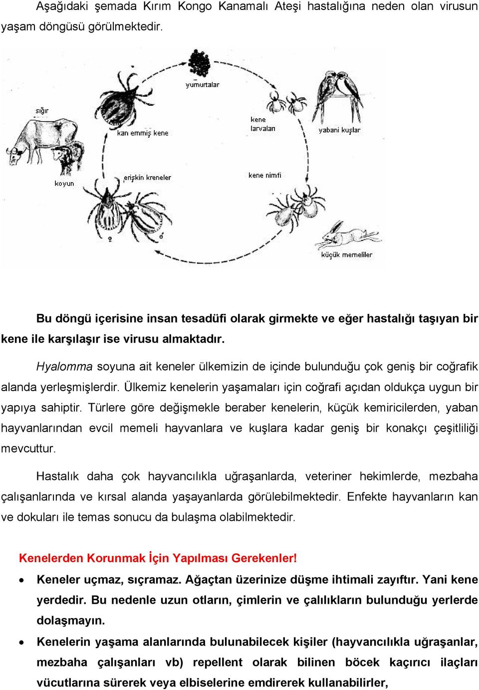 Hyalomma soyuna ait keneler ülkemizin de içinde bulunduğu çok geniş bir coğrafik alanda yerleşmişlerdir. Ülkemiz kenelerin yaşamaları için coğrafi açıdan oldukça uygun bir yapıya sahiptir.