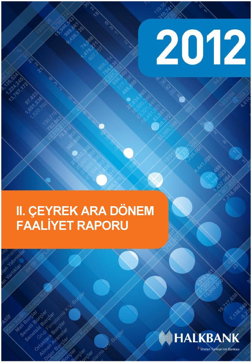 Halkbank 2012 Yılı