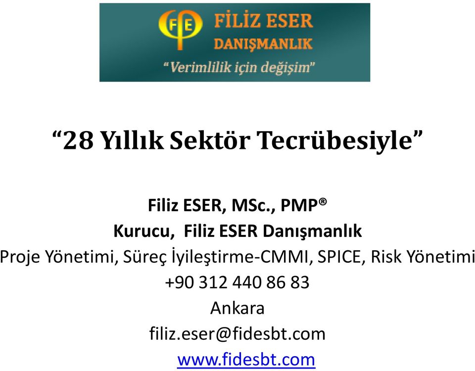 Yönetimi, Süreç İyileştirme-CMMI, SPICE, Risk