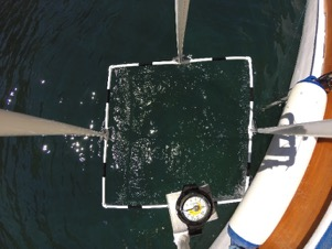 Posidonia oceanica önemi Fotokuadrat çalışmaları Posidonia deniz çayırlarının derinliğe ve bölgeye bağlı dağılım ve yaprak yüzey örtücülüğünün belirlenmesinde PPRC malzeme kullanılarak üre5len 1 m 2